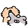 Стикер 37 random cats