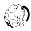 Стикер 48 random cats