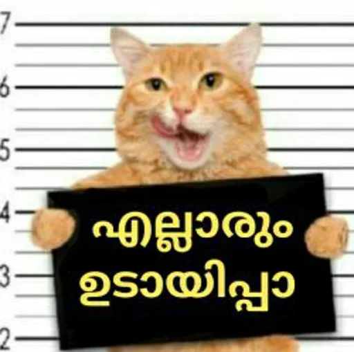 😐 Стикер «Random Stickers Coll.3» для Telegram
