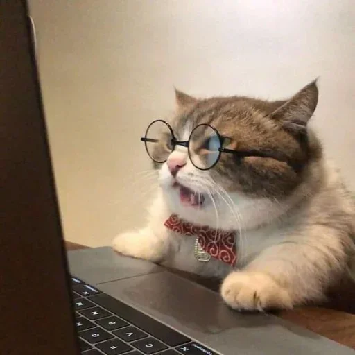🙊 Стикер «Random Stickers Coll.3» для Telegram