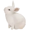 Стикер 23 ૮ っ