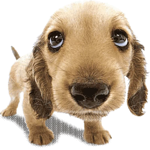 🥺 Стикер «Random funny 3» для Telegram