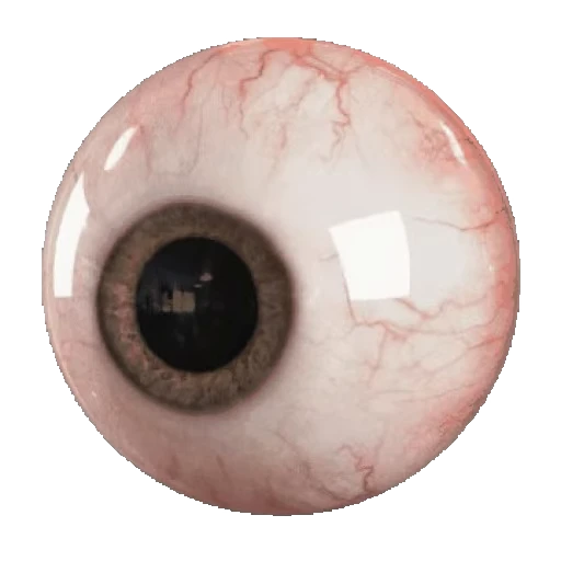 👁️ Стикер «Random funny 3» для Telegram