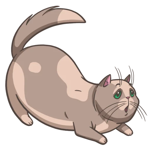 🥺 Стикер «Random funny cats» для Telegram
