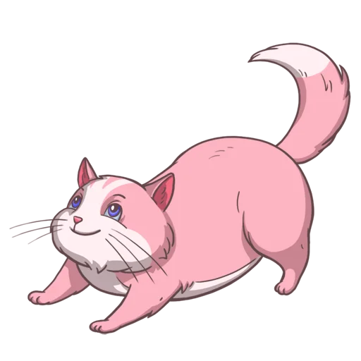 😇 Стикер «Random funny cats» для Telegram