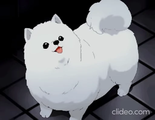 🐶 Стикер «Radomi» для Telegram