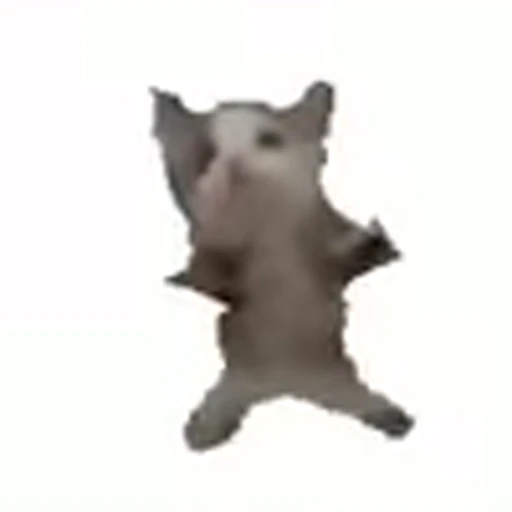 😺 Эмодзи «random mem» для Telegram