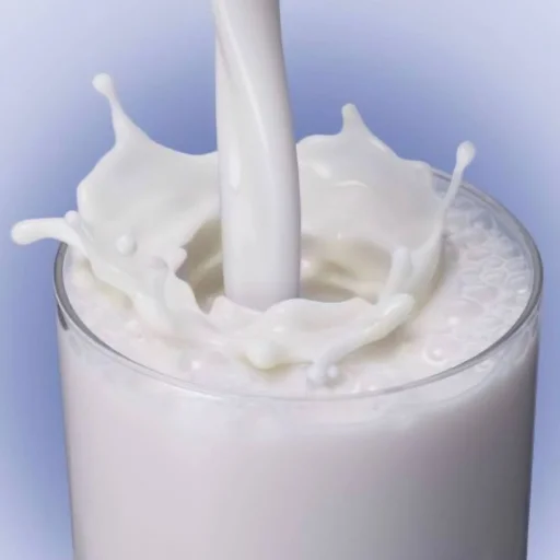 🥛 Стикер «random! (mimimimi)??????????» для Telegram
