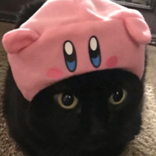 😿 Стикер «random! (mimimimi)??????????» для Telegram