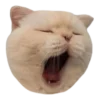 🥱 Эмодзи «Rand» для Telegram