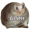 🥴 Эмодзи «Rand» для Telegram