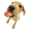 😋 Эмодзи «Rand» для Telegram