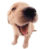 😛 Эмодзи «Rand» для Telegram
