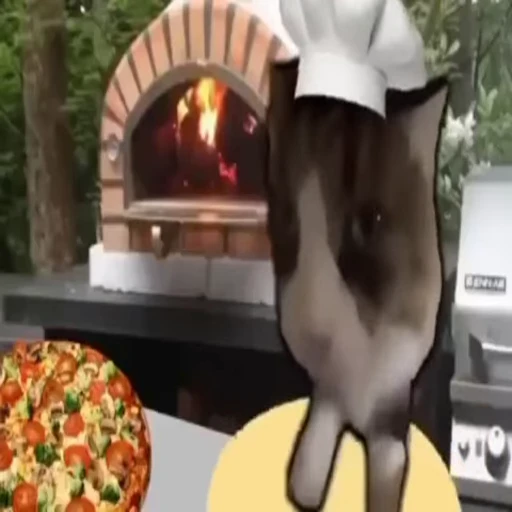 🍕 Стикер «randomsticksff» для Telegram