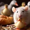 Стикер 24 Rat