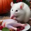 Стикер 25 Rat