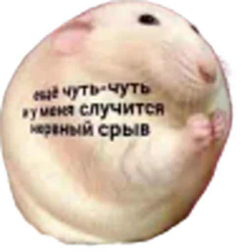 🤩 Эмодзи «Крысы» для Telegram