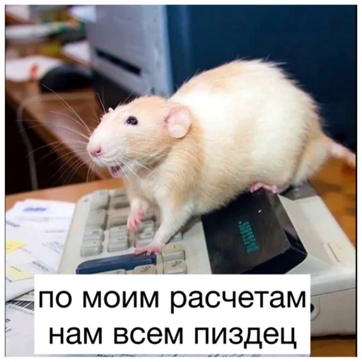 ☠️ Стикер «Крысиноэ» для Telegram
