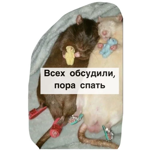 🛌 Стикер «Крысиноэ» для Telegram