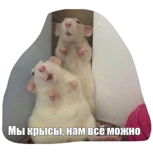 ❤️ Стикер «Крысиноэ» для Telegram