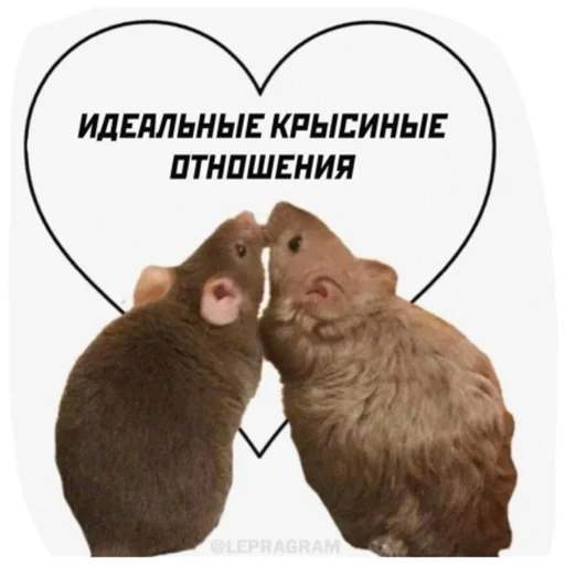 ❤️ Стикер «Крысиноэ» для Telegram