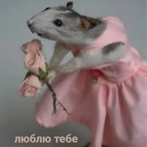 ❤️ Стикер «щури» для Telegram