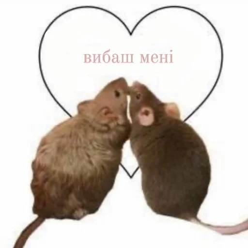 ❤️ Стикер «щури» для Telegram