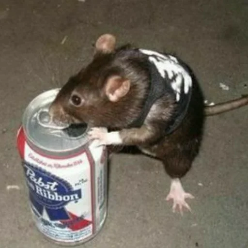 🍺 Стикер «щури» для Telegram