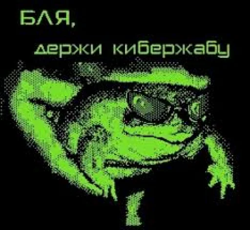 🥵 Стикер «крыски, жабки» для Telegram