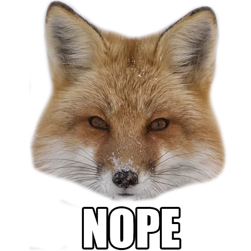 😐 Стикер «Rävar» для Telegram