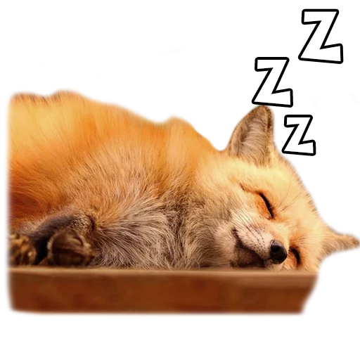 😴 Стикер «Rävar» для Telegram