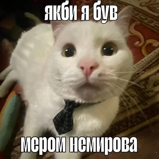 👔 Стикер «міське звалище» для Telegram