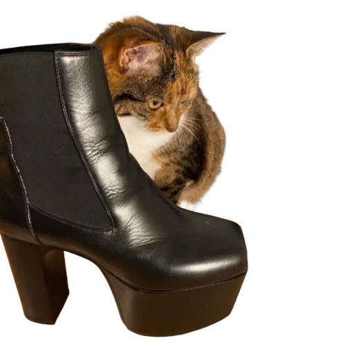 😼 Стикер «rick owens» для Telegram