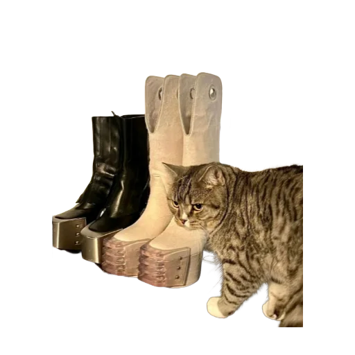 🐱 Стикер «rick owens» для Telegram
