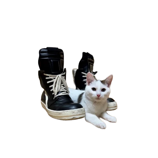 😽 Стикер «rick owens» для Telegram