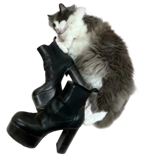 🐱 Стикер «rick owens» для Telegram