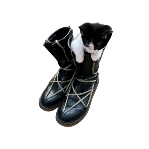 🐱 Стикер «rick owens» для Telegram