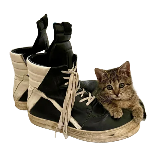 😈 Стикер «rick owens» для Telegram
