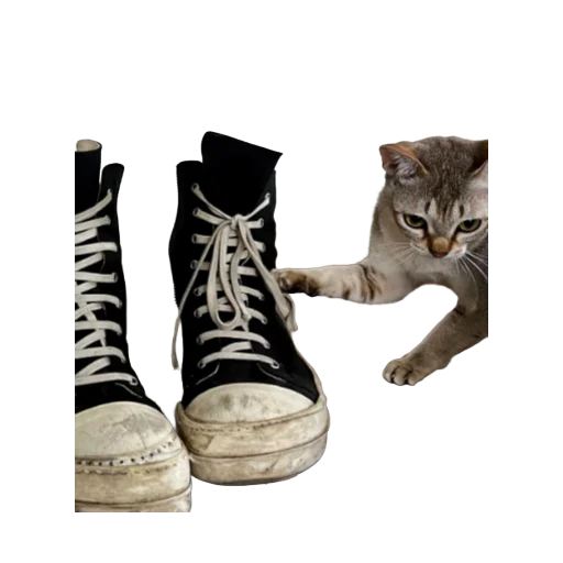 🤨 Стикер «rick owens» для Telegram