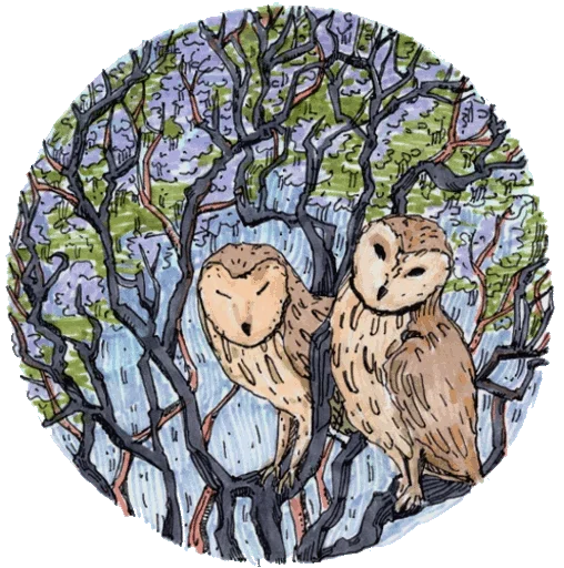 🦉 Стикер «rdwdtr» для Telegram