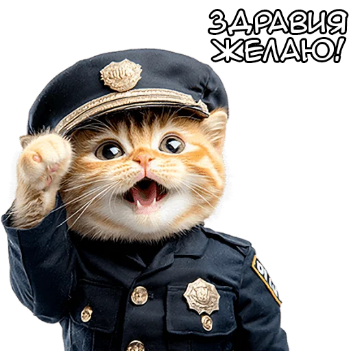 👋 Стикер «Кот полицейский» для Telegram