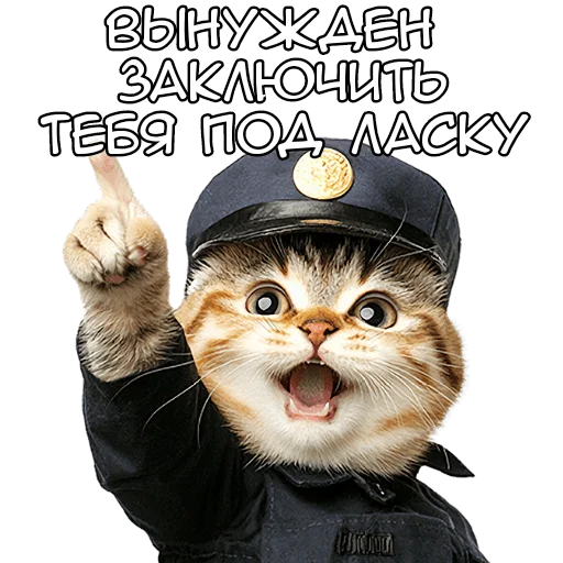 🤗 Стикер «Кот полицейский» для Telegram