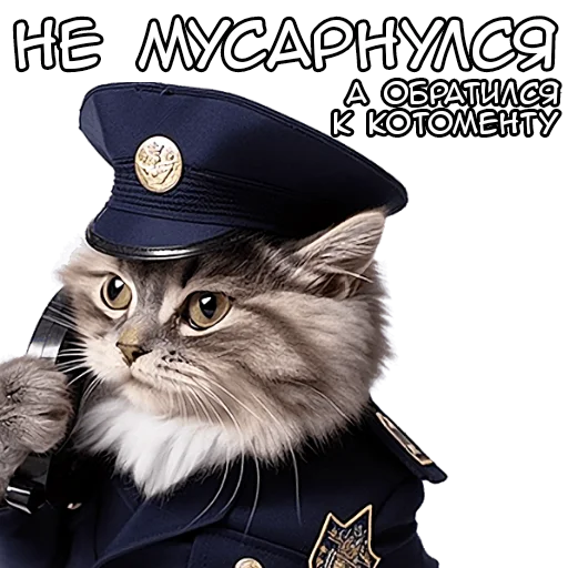 ☝️ Стикер «Кот полицейский» для Telegram