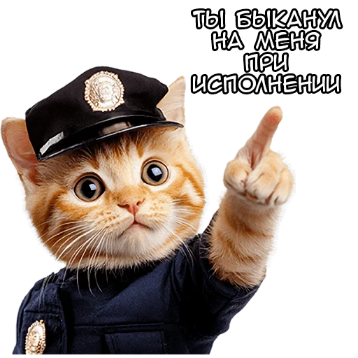 🫵 Стикер «Кот полицейский» для Telegram