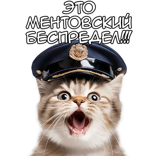 👹 Стикер «Кот полицейский» для Telegram