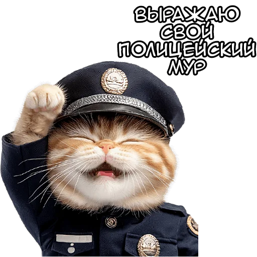 🐱 Стикер «Кот полицейский» для Telegram