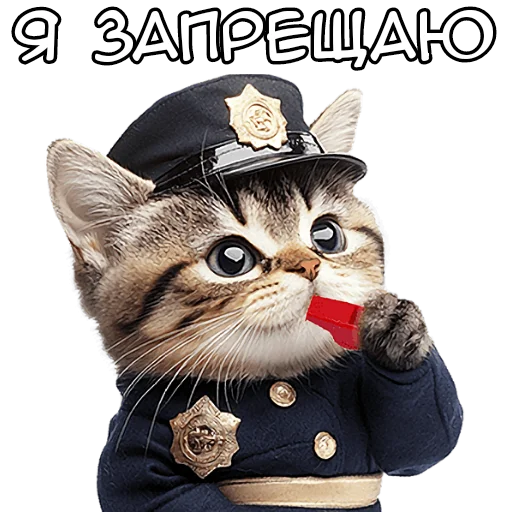 👮‍♂ Стикер «Кот полицейский» для Telegram