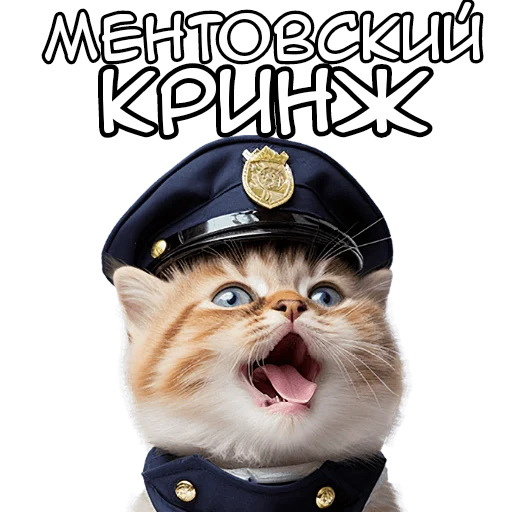 😵 Стикер «Кот полицейский» для Telegram