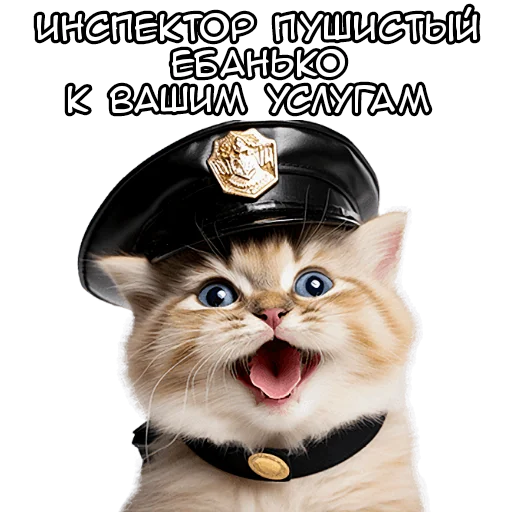 🤪 Стикер «Кот полицейский» для Telegram