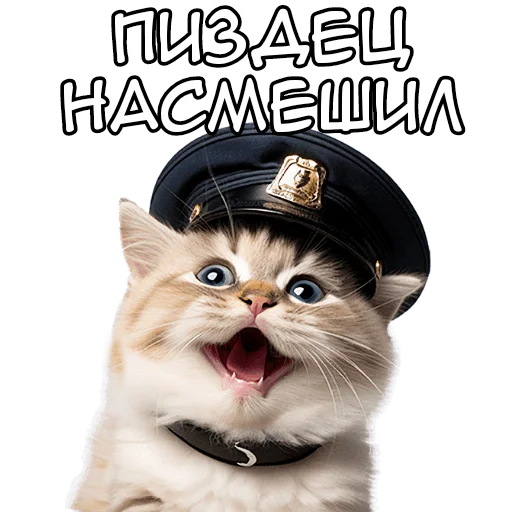 🤧 Стикер «Кот полицейский» для Telegram